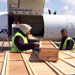 Air Freight Tunisia - MPl